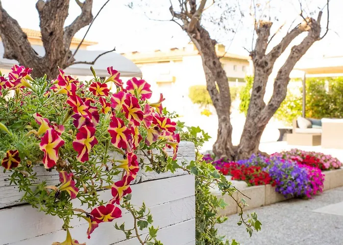 森特瑞玛公寓 公寓 *